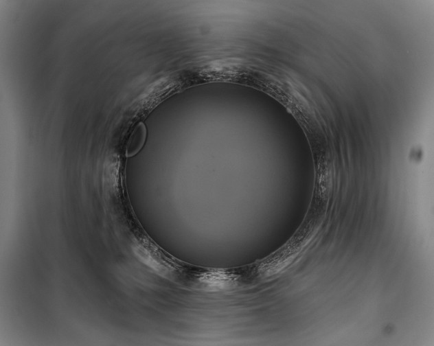 X0000101160231200806271017
