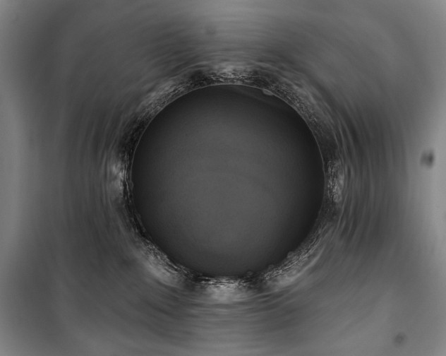 X0000101160235200806271017