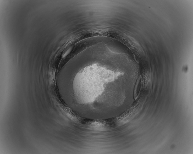 X0000101160236200806271017