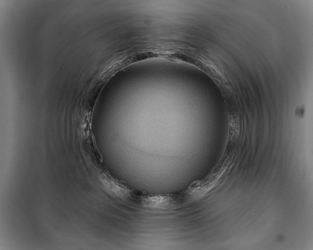 X0000101160237200806271017