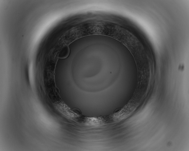 X0000101160239200806271017