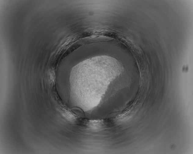 X0000101160240200806271017