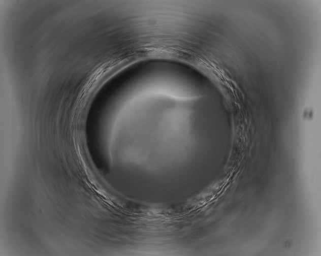 X0000101160241200806271016