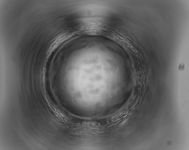 X0000101160242200806271016