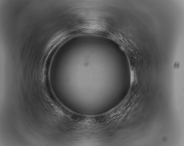 X0000101160243200806271016