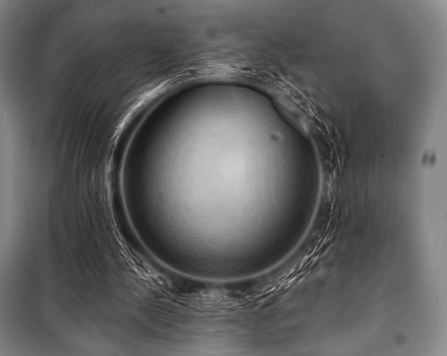 X0000101160244200806271016