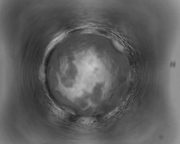 X0000101160245200806271016