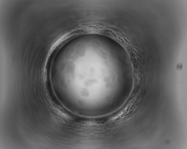 X0000101160246200806271016