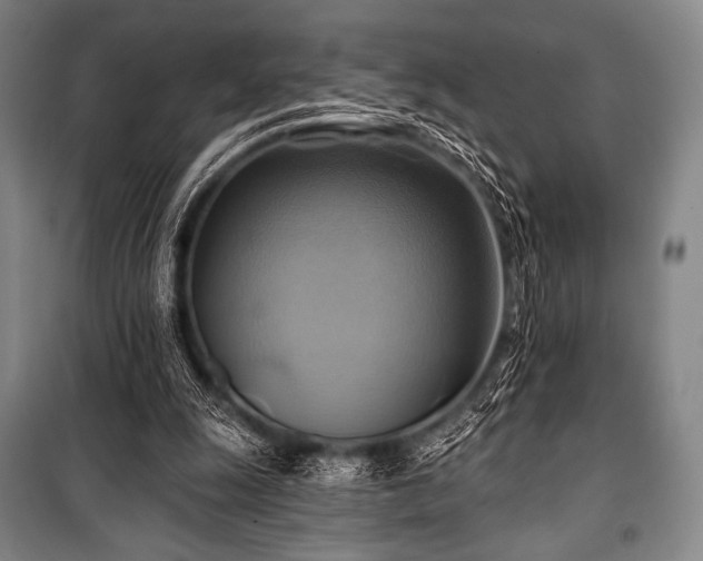 X0000101160247200806271016