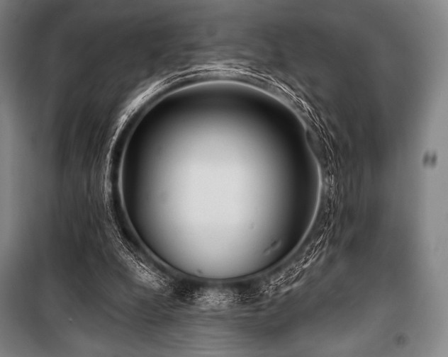 X0000101160248200806271016