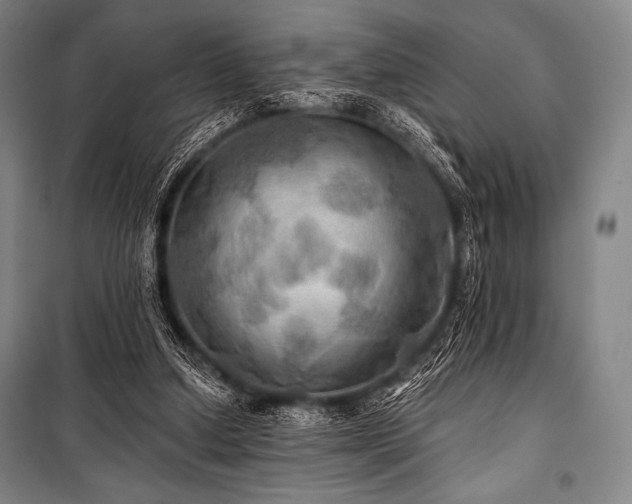 X0000101160250200806271016