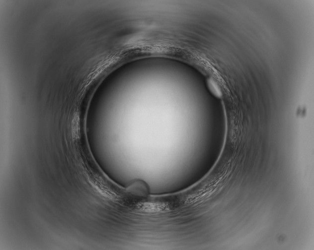 X0000101160251200806271016