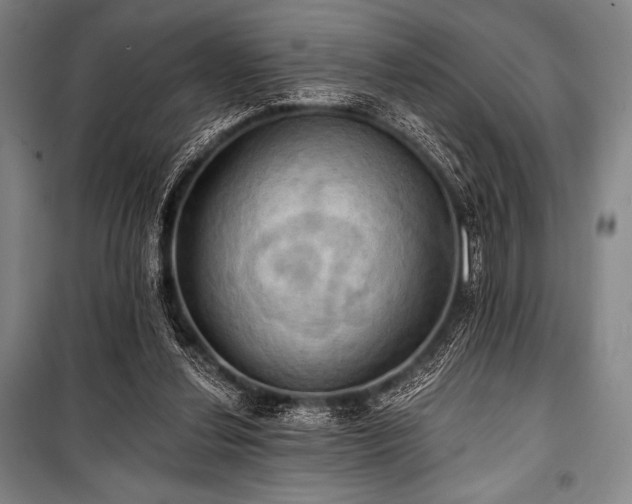 X0000101160252200806271016