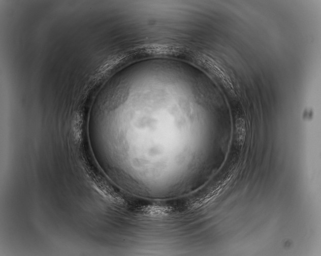 X0000101160255200806271016