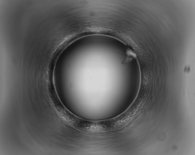 X0000101160256200806271016