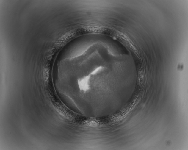 X0000101160259200806271016