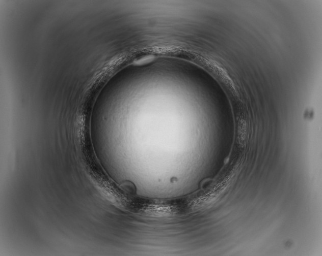 X0000101160260200806271016