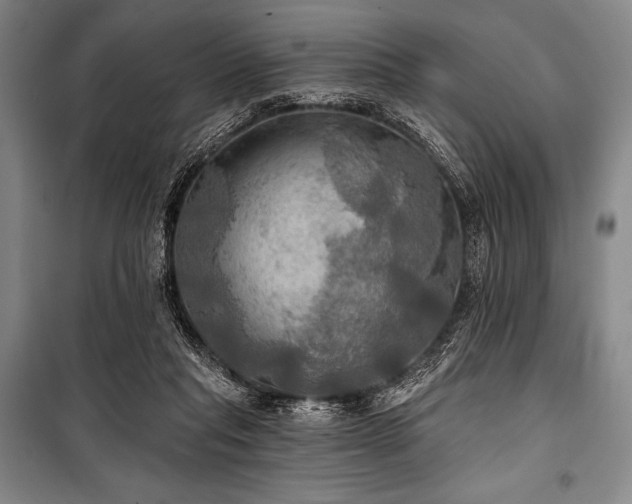 X0000101160261200806271016