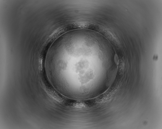 X0000101160262200806271016