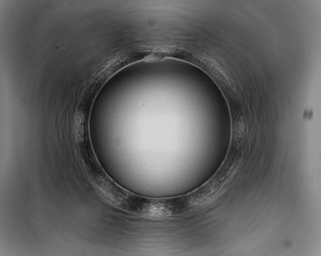 X0000101160264200806271016