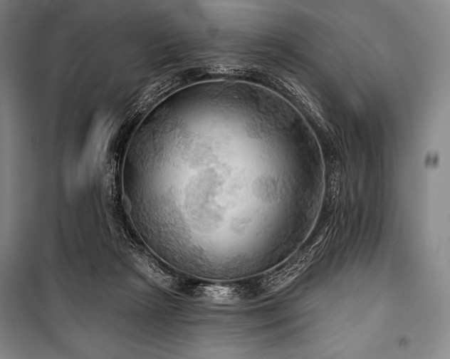 X0000101160265200806271016