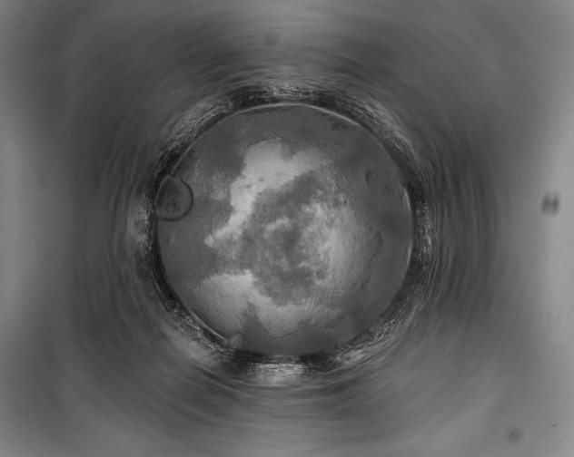 X0000101160266200806271016