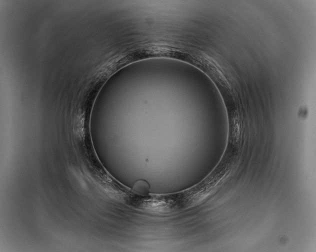 X0000101160267200806271016