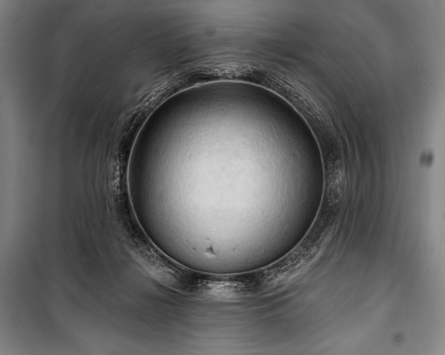 X0000101160268200806271016