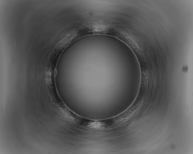 X0000101160269200806271016