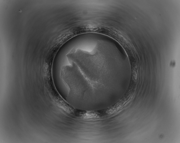 X0000101160270200806271016
