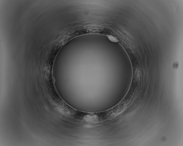 X0000101160271200806271016