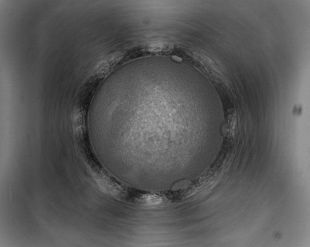 X0000101160272200806271016