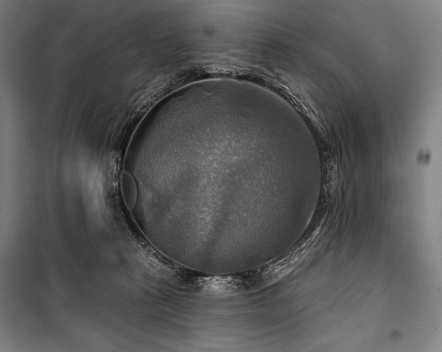 X0000101160273200806271016