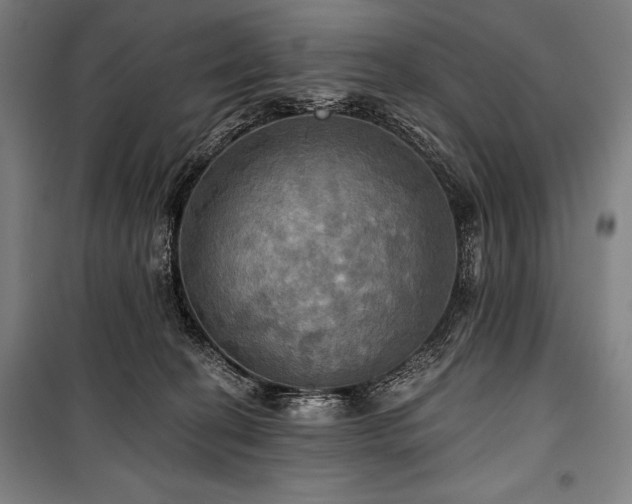 X0000101160274200806271016