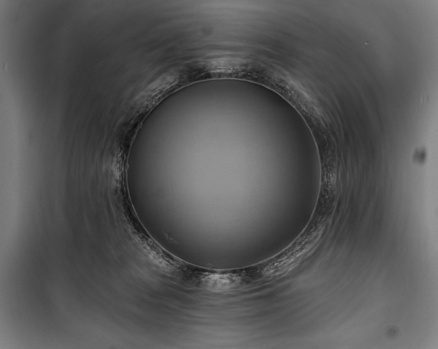 X0000101160277200806271017
