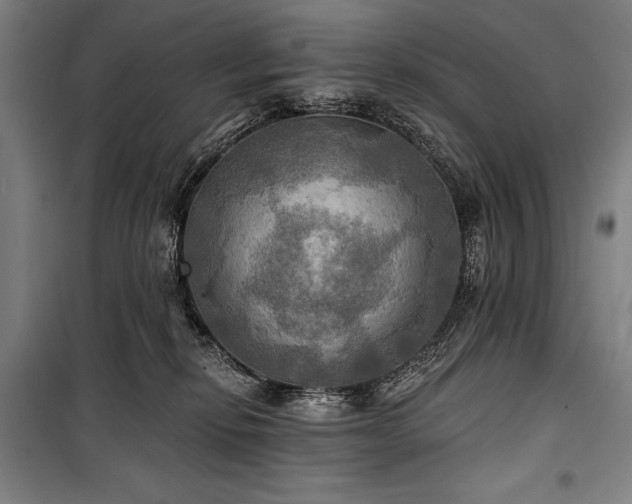 X0000101160278200806271017