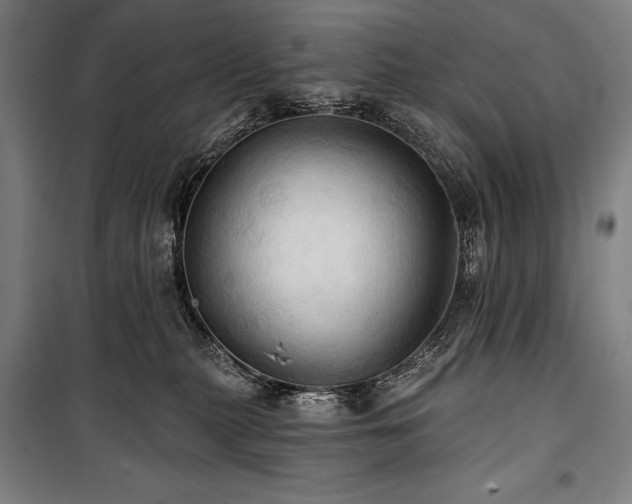 X0000101160279200806271017