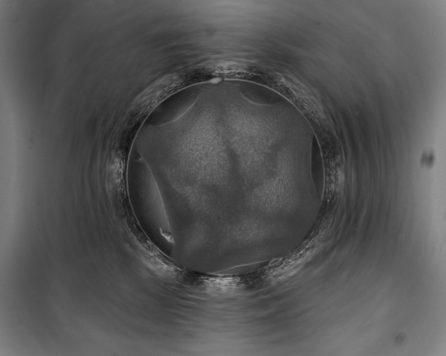 X0000101160281200806271017