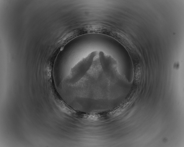 X0000101160282200806271017