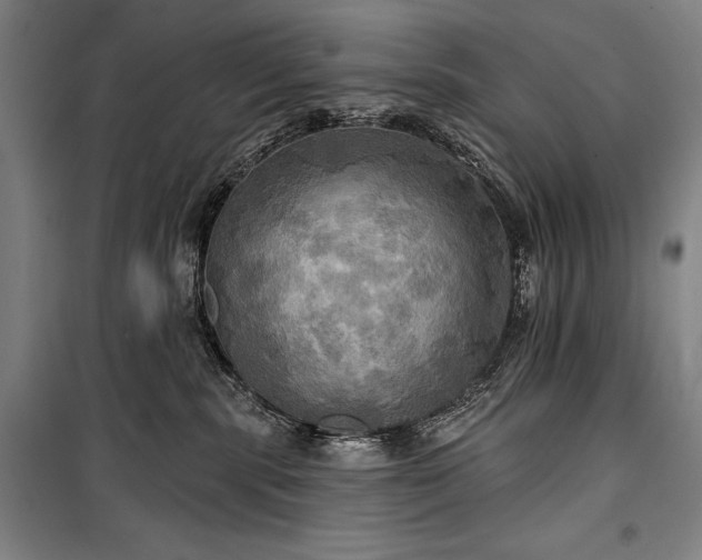X0000101160283200806271017