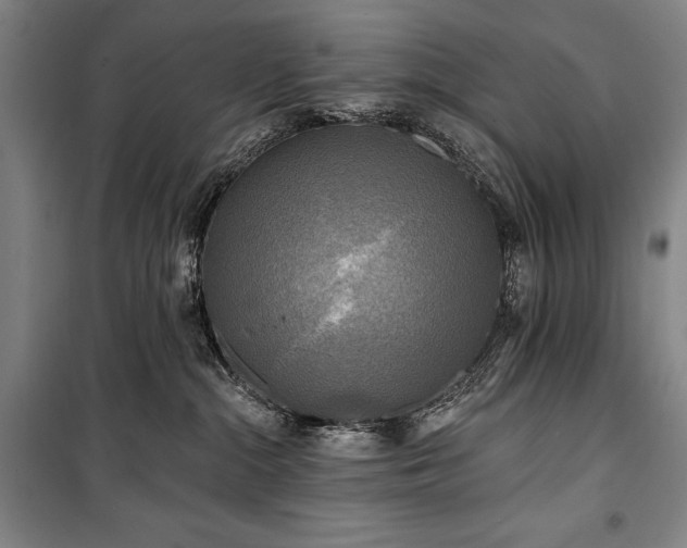 X0000101160284200806271017