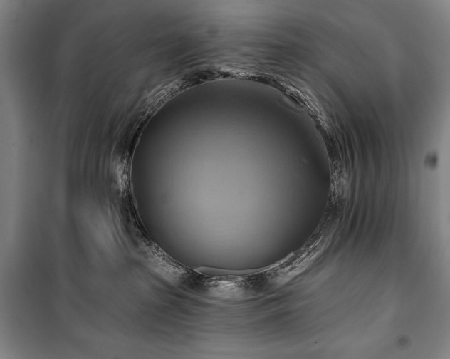 X0000101160285200806271017