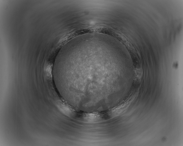 X0000101160286200806271017