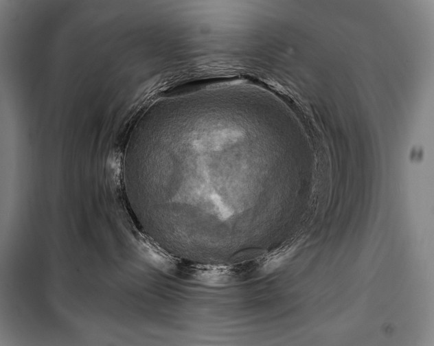 X0000101160288200806271017