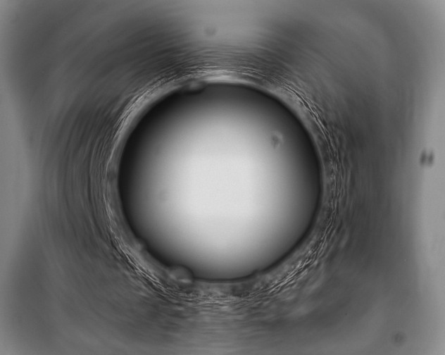 X0000101160289200806271016