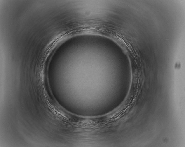 X0000101160290200806271016