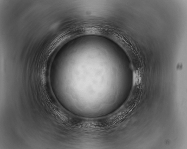 X0000101160291200806271016