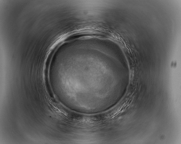 X0000101160292200806271016