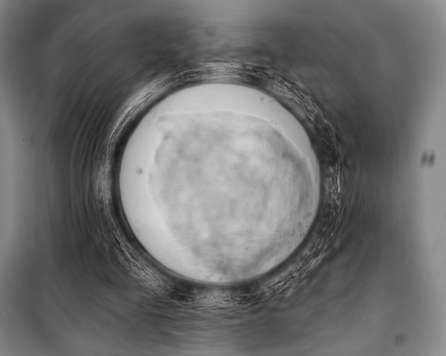 X0000101160293200806271016