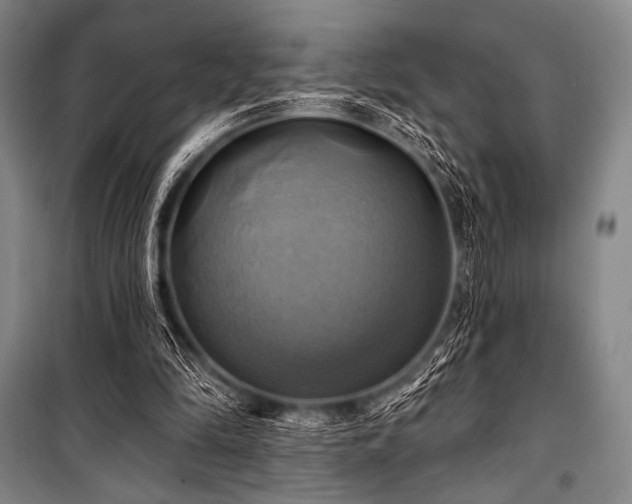 X0000101160294200806271016